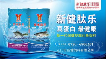 水車(chē)?yán)疚r市寒，暴雨突襲珠三角市場(chǎng)慘淡